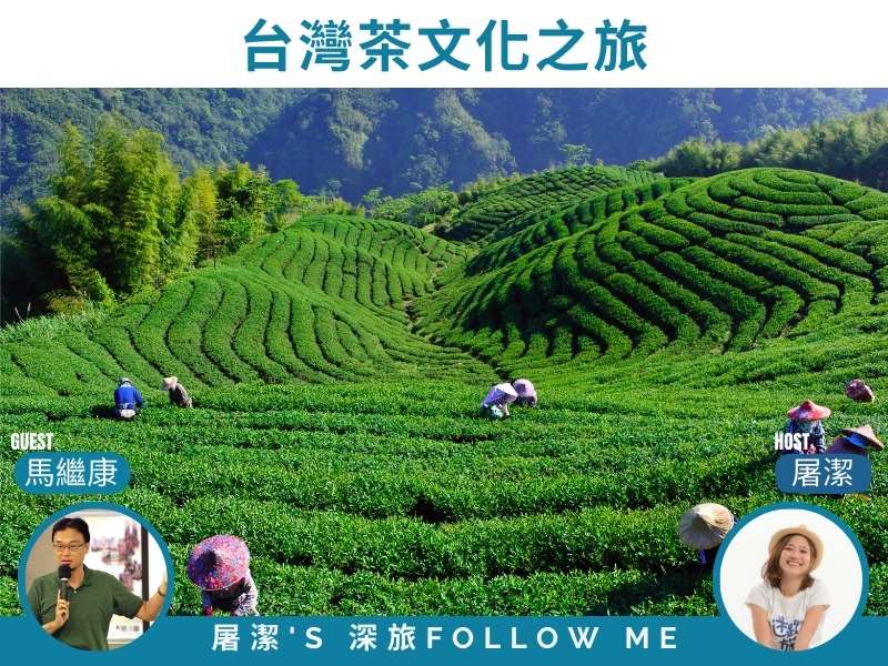 臺灣茶文化｜茶香漫遊，用一杯茶品味台灣的山水人情