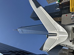 911事件遭客機撞擊的雙塔不再，已開發為世貿中心一號與飛鳥造型的車站等建築。