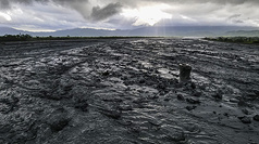 花蓮馬太鞍溪堰塞湖23日下午溢流，黑褐色洪水夾雜土砂迅速向下游沖刷，馬太鞍溪橋不敵大水重擊遭沖斷。圖為24日上午馬太鞍溪橋橋墩佇立在泥水中。
