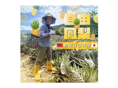 外交部長林佳龍16日在社群平台發文表示，今年出口鳳梨的日本購買量占比超過9成，展現民主夥伴相互支持的真誠友誼 (圖取自林佳龍臉書)