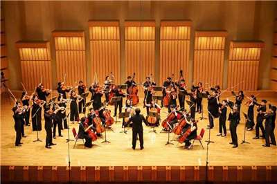 巴雀 Camerata Taiwan 管絃樂團走過十年，9月3日登國家音樂廳舉行十週年壓軸音樂會。(巴雀 Camerata Taiwan提供)