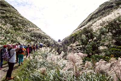 草嶺古道美景 (觀光署提供)