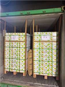 農業部動植物防疫檢疫署20日發布新聞稿，首批外銷馬來西亞3600公斤文旦已海運抵馬來西亞並順利通關。(農業部動植物防疫檢疫署提供)