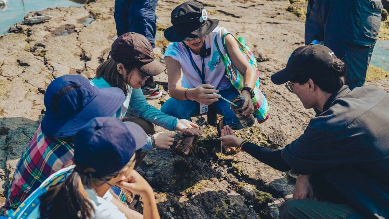 曙旅工作室致力推廣東北角潮間帶體驗行程 （吳函恩提供）