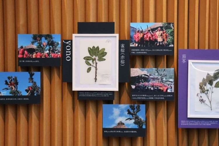 「鄒 自然博物」特展。本照片轉載自國立自然科學博物館官網