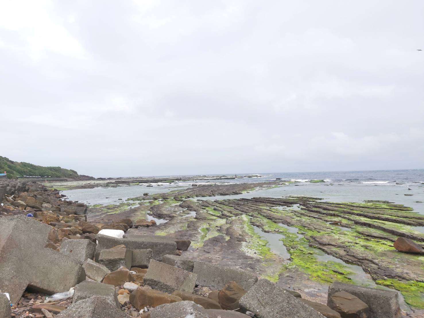 居住在海邊的婦女們，會在退潮時去潮間帶採集各類可食用的海藻及螺貝類。