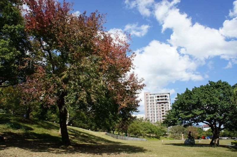 國立台北藝術大學公園(邱海靖拍攝)