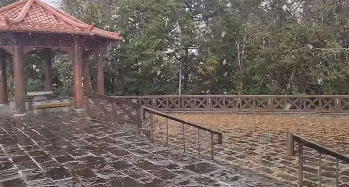 天氣冷，水氣足，阿里山今天(8日)上午睽違六年再度降下靄靄白雪。(翻攝阿里山森林遊樂區粉專)