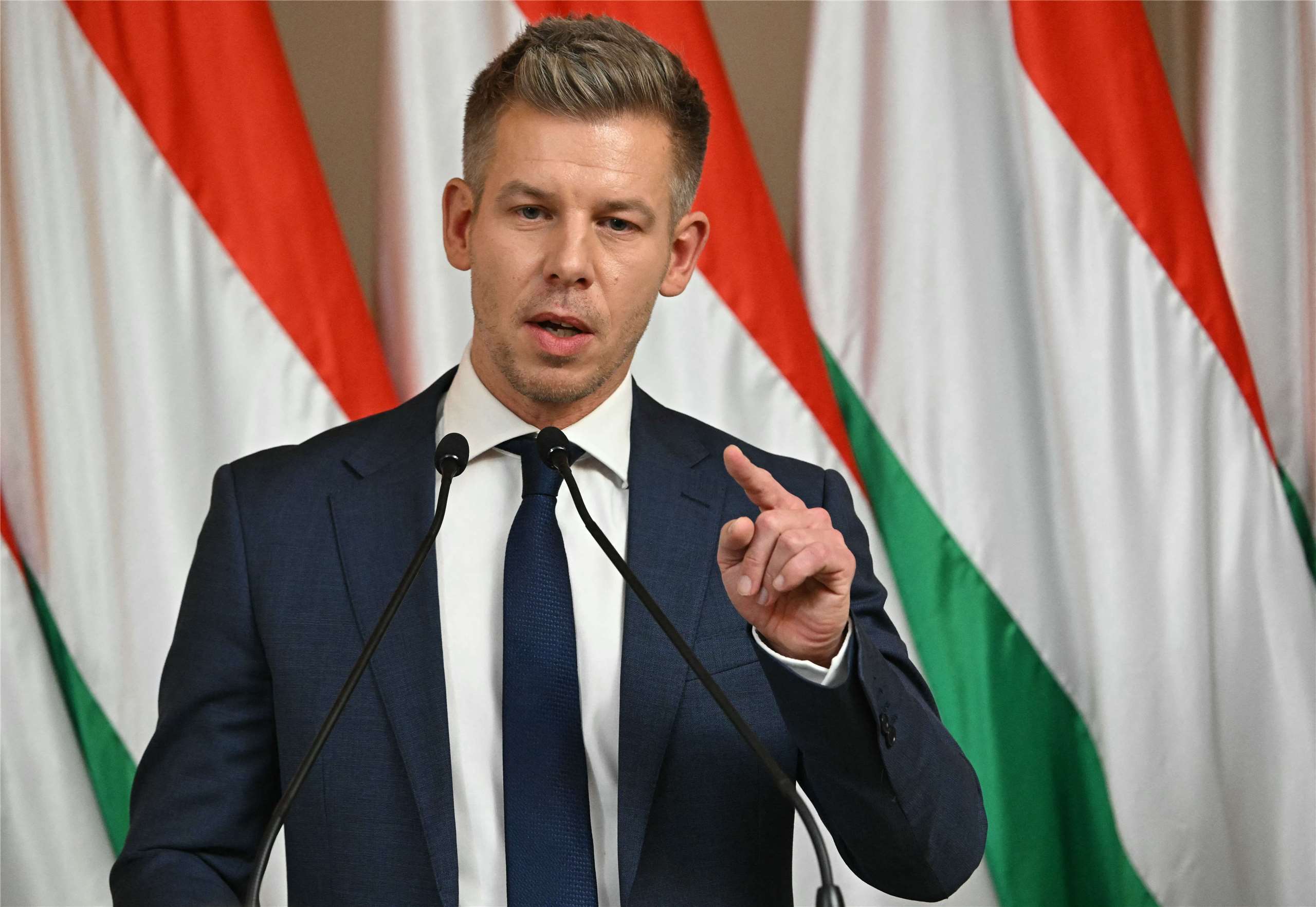 匈牙利國會大選，由馬格雅( Peter Magyar)(圖)領導的自由黨(Tisza Party)民調領先執政黨。資料照片。