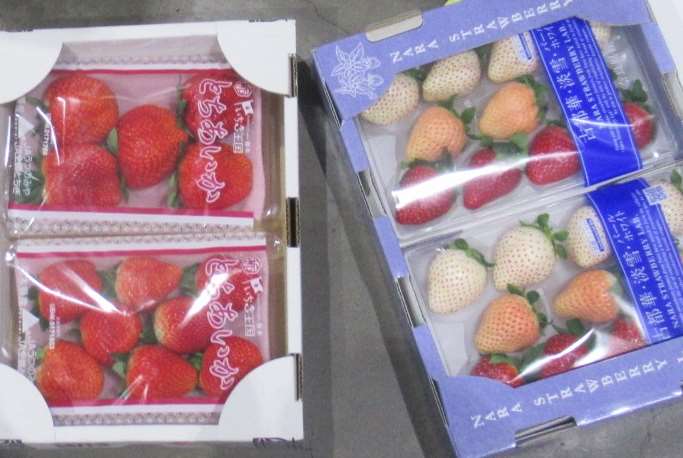 邊境查驗不合格品項中再見日本草莓因農藥超標而遭攔下，根據食藥署所公布，由佳和鮮果貿易股份有限公司自日本進口的「鮮草莓」檢出殘留農藥「亞派占」0.19ppm。(圖：食藥署)