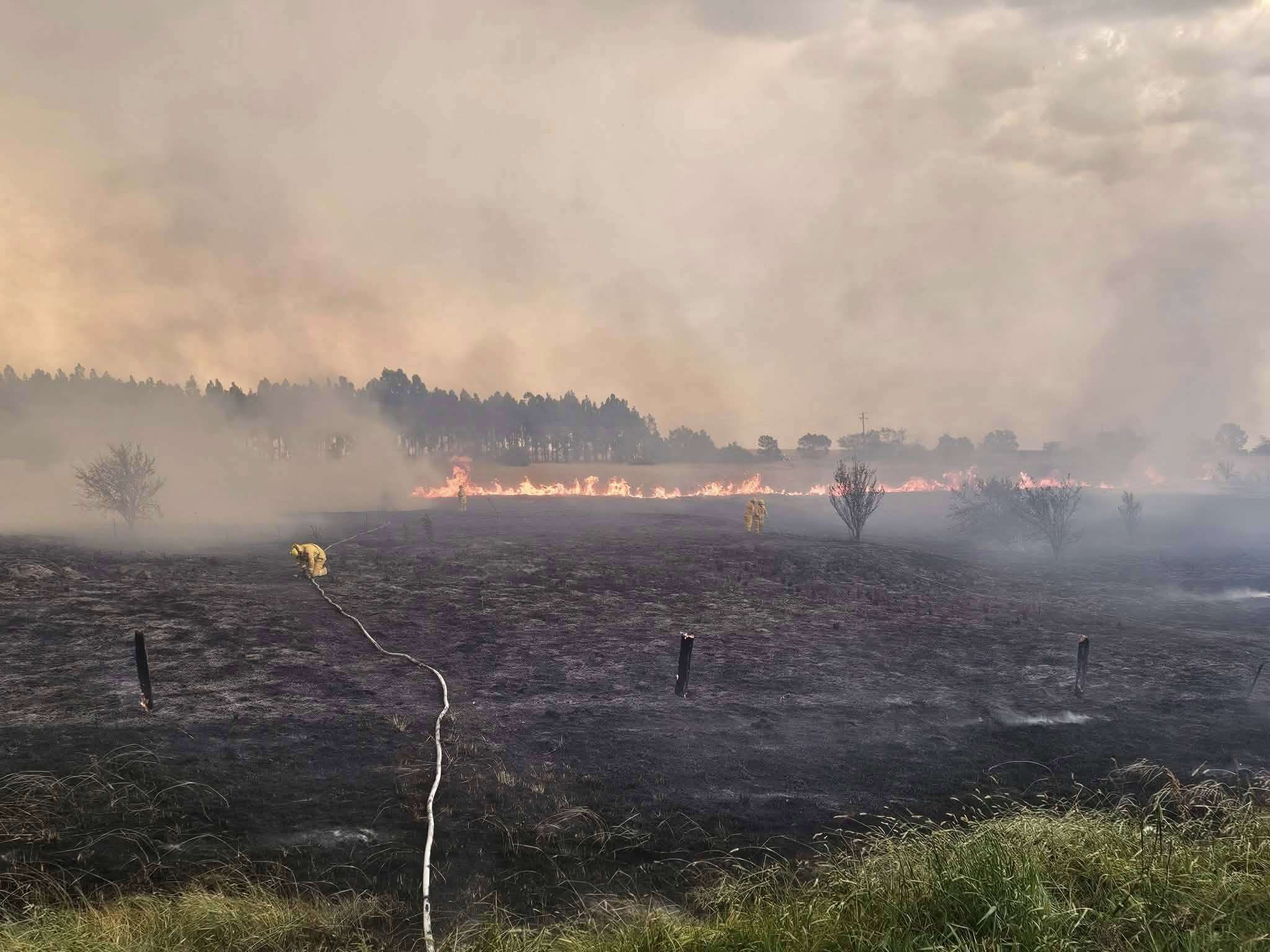 澳洲叢林大火11日持續延燒。(圖:FB/WandongFireBrigade)