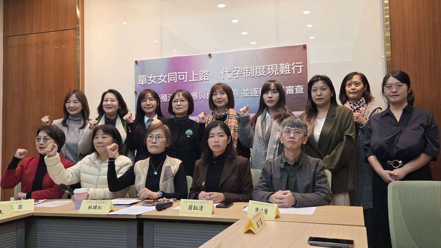 「人工生殖法」修法審查前夕，多個婦女及性別團體與民進黨女立委召開記者會，呼籲「代理孕母」議題應和「人工生殖法」修法脫勾，優先進行「人工生殖法」修法，並擴大適用對象涵蓋單身及同婚女性。(劉玉秋攝)
