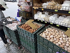 本週每台斤蛋價漲2元，批發價19日起調升為44元，產地價21日起漲至34.5元。