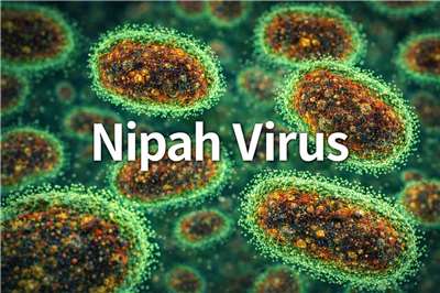 立百病毒(Nipah Virus, NiV)。示意圖。(AI生成圖)