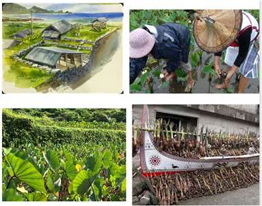 蘭嶼達悟族的生活照─蔡慧敏老師提供