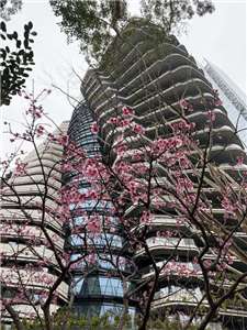 台北市信義區豪宅陶朱隱園每戶順時針旋轉4.5度，成為每戶的露台。（中工提供)(中央社資料照片)