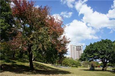 國立台北藝術大學公園(邱海靖拍攝)
