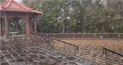 天氣冷，水氣足，阿里山今天(8日)上午睽違六年再度降下靄靄白雪。(翻攝阿里山森林遊樂區粉專)