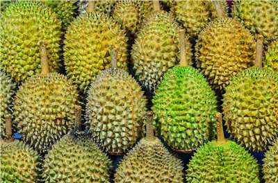 榴槤。(Unsplash圖庫)