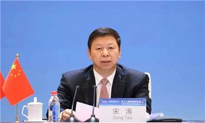 中國國台辦主任宋濤。 資料照片（圖:翻攝自中共中央對外聯絡部）