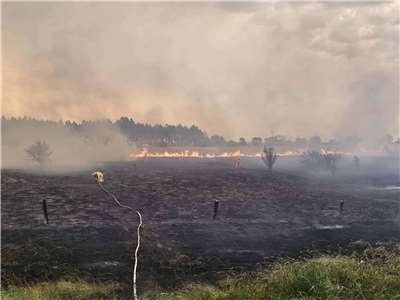 澳洲叢林大火11日持續延燒。(圖:FB/WandongFireBrigade)