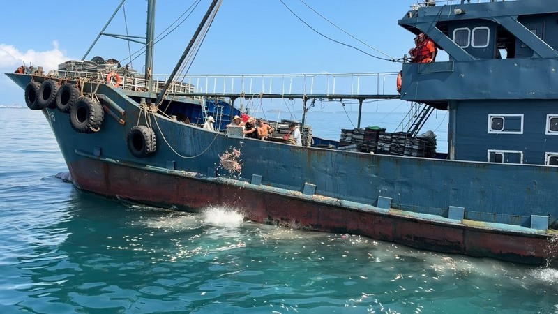 澎湖海巡隊1日在西嶼西北海域查獲「粵饒漁33616」漁船越界作業，隨即強靠登檢，經清艙後發現漁獲約850公斤，全數海拋，人船則一併押返調查。（澎湖海巡隊提供）