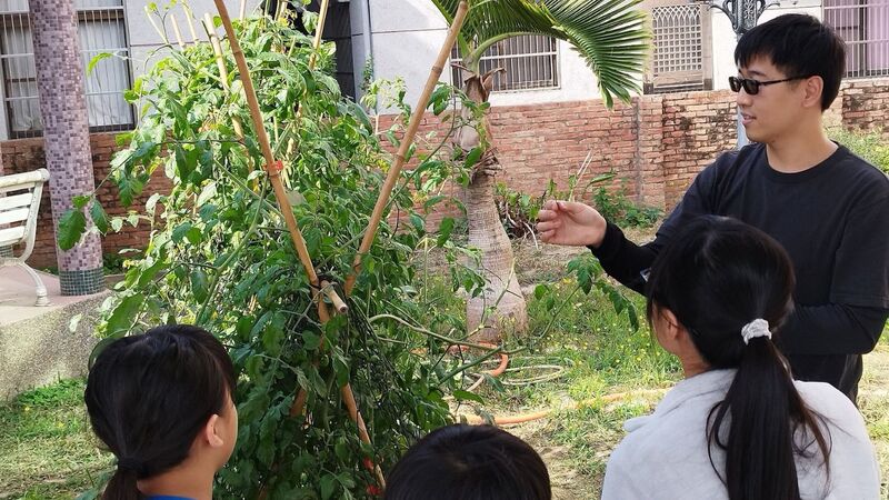 嘉義縣安和國小透過在地食材料理創作及「校園小記者」採訪青農，食農教育成為連結生活、社區與學習重要橋梁。（教育部提供）