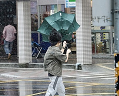 薔琵颱風來襲，23日新北市街頭民眾的雨傘被陣風吹到開花。