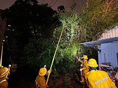 薔琵颱風挾帶狂風豪雨，造成多地線路斷線、脫落，台電人員冒雨搶修。（台電公司提供）
