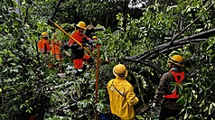 因應颱風災情，台電加派人力全力搶修。(台電公司提供)