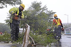 氣象署表示，北台灣25日清晨降雨會趨緩，各地多雲到晴，花東留意局部大雨，中南部山區注意午後雷陣雨。圖為台北市內湖區成功路有樹木倒塌，市府團隊24日派員冒雨清理運離。(台北市政府提供)