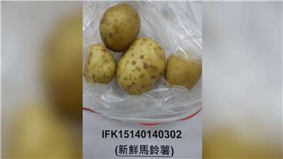 食藥署6日公布，1批知名洋芋片公司自美國進口的馬鈴薯，雖未發芽，但檢出龍葵鹼不符規定，全數在邊境退運或銷毀。(食藥署提供)