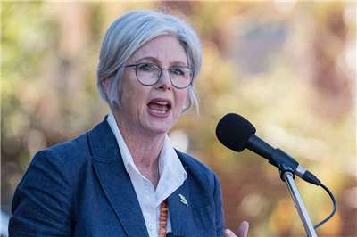 澳洲無黨籍國會議員海恩斯（Helen Haines）19日遭車輛兩度蓄意衝撞，導致她失去一條腿，而醫師正致力保住她另一條腿，她目前仍處於危急狀態。(FB@Helen Haines MP)