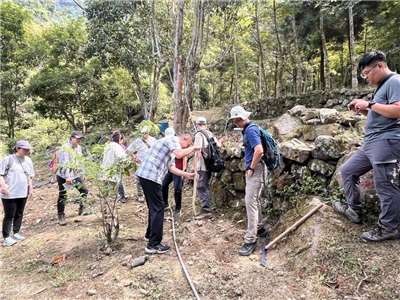農業部林業及自然保育署南投分署21日在台中市太平區舉辦「林下經濟示範區台灣山茶觀摩活動」，這片造林地不只種樹，還種出優質原生茶，更友善穿山甲等動物出沒。(林業及自然保育署南投分署提供)