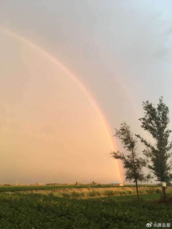 七道彩虹的愛與傷