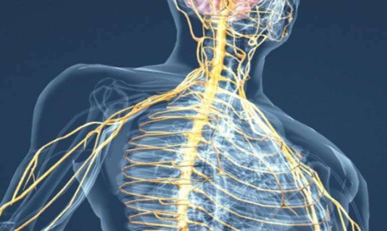 運動不是把你操爆