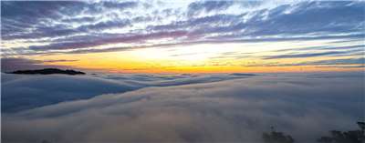 薑麻園的雲海與落日同輝   本照片轉載自薑麻園休閒農業區官網