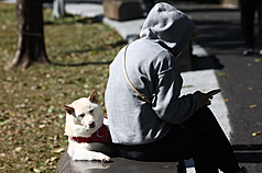 大台北地區4日天氣明顯回暖，陽光露臉，中央藝文公園裡， 民眾帶著狗狗一起曬太陽。