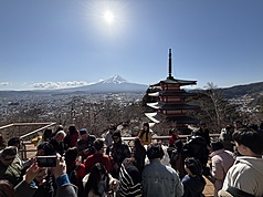 能同時遠眺富士山與五重塔、長年被譽為「櫻花必拍打卡景點」的日本山梨縣新倉山淺間公園，今年春季因為「觀光公害」不堪負荷，確定取消櫻花祭活動。該人氣景點即使沒有櫻花，平時也吸引眾多觀光客朝聖。