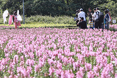 15日各地大多為晴到多雲。
