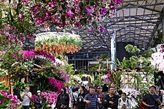 2026台灣國際蘭展暨花卉科技展27日在台南市後壁區農業部花卉創新園區開展，吸引民眾入園欣賞蘭花。
（台南市政府提供）