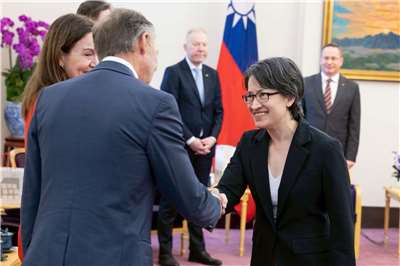 副總統蕭美琴接見「中北歐國家國會議員訪問團」。(圖：總統府)