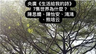 鴻鴻/ 導演 詩人 