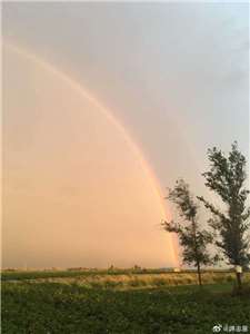 七道彩虹的愛與傷