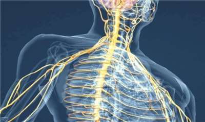 運動不是把你操爆