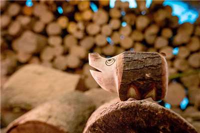 山豬是來吉部落的意象  照片轉載自阿里山來吉部落官網