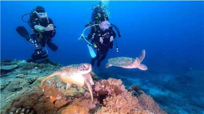 公視《極樂世界之好好出門》開播，用14次出門打開社會想像，翻轉社會對身心障礙者的想像。圖為腦性麻痺患者莊富凱成功挑戰潛水夢想。(公視提供)