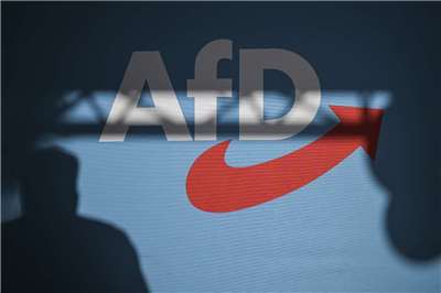 德國另類選擇黨(AfD)。(檔案照)