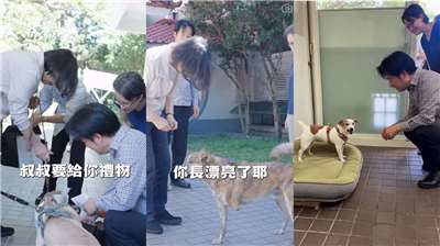 賴清德總統22日在社群平台分享一支輕鬆短片，影片記錄了去年前總統蔡英文帶著愛犬「樂樂」與「鳳梨妹」造訪官邸。(IG@william_chingte)