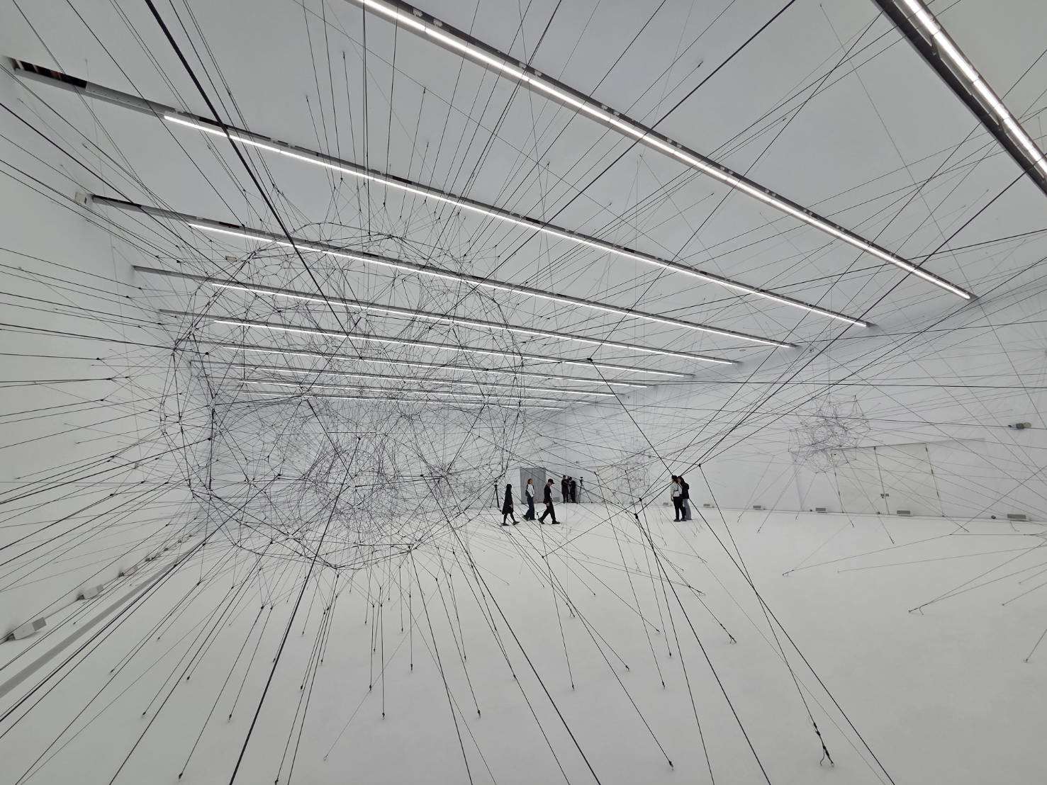 阿根廷藝術家托馬斯・薩拉切諾（Tomás Saraceno）首次在台大型個展《共織宇宙》（Interwoven），從蜘蛛的微觀感知出發，延伸至宇宙尺度的想像，邀請觀眾重新思考生命與環境的如何共存。(江昭倫 攝)